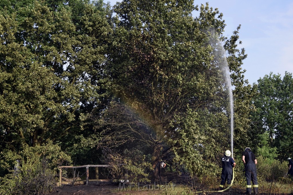 Waldbrand Koeln Hoehenhaus Hoehenfelder Mauspfad P121.JPG - Miklos Laubert